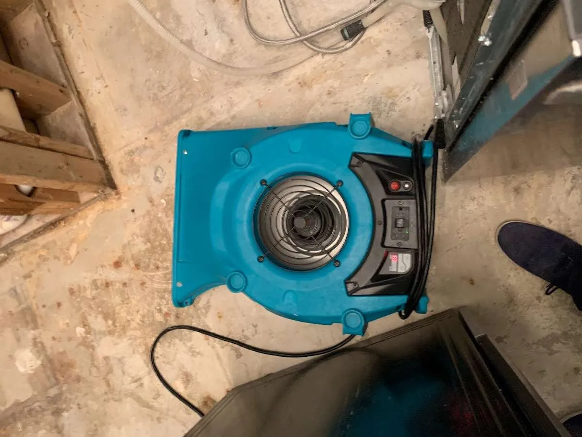 Air mover drying equipment for Mold Remediation & Removal in Alexandria