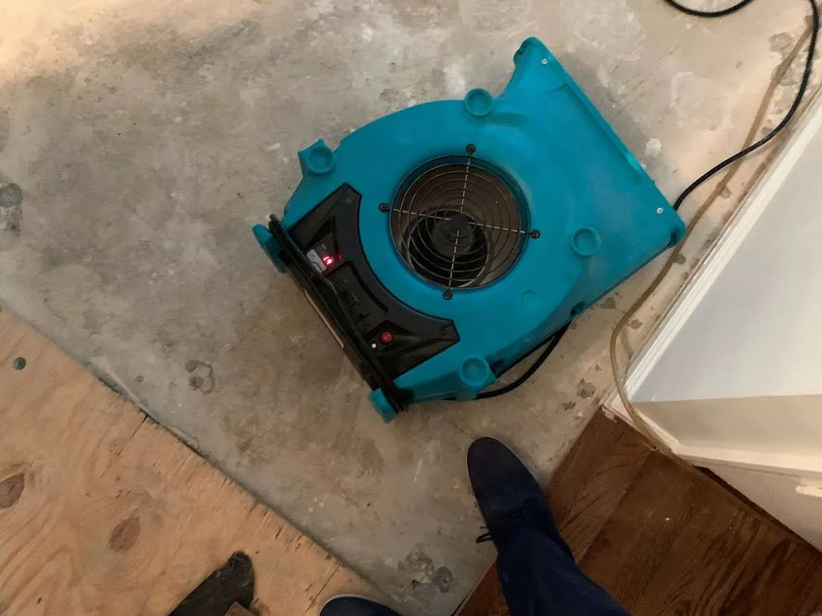 Air mover drying subfloor during Commercial Water Damage Restoration in Alexandria