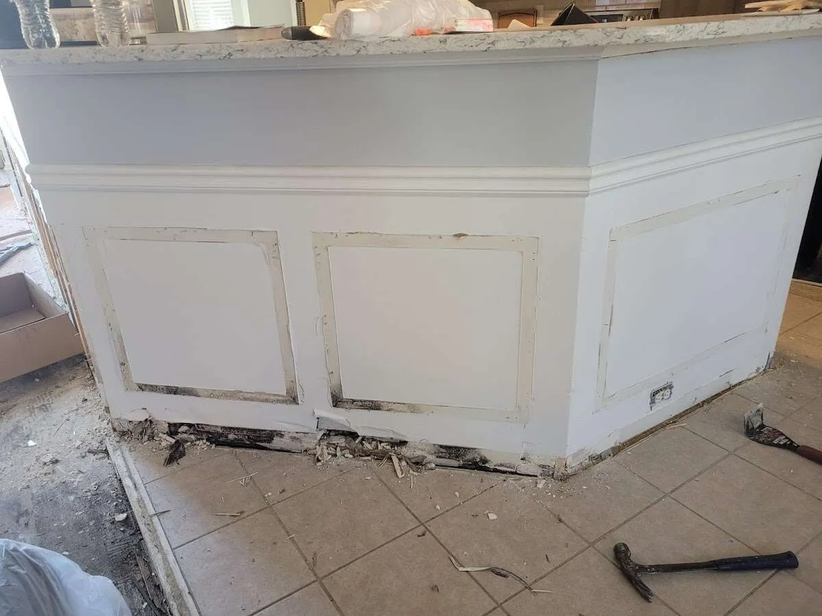 Water damage and mold on kitchen during Sewage Cleanup & Sanitation in Alexandria